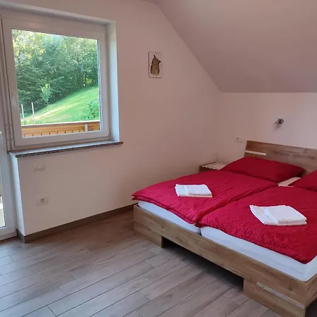 And Wellness Jelovca Апартаменты Радовлица